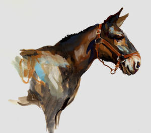 Mule Study