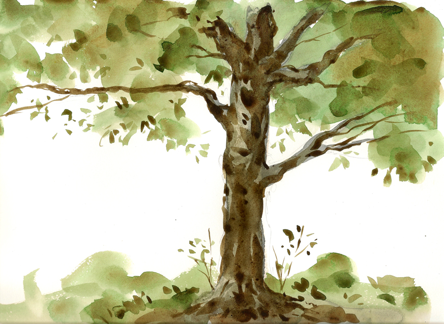 Tree Sketch