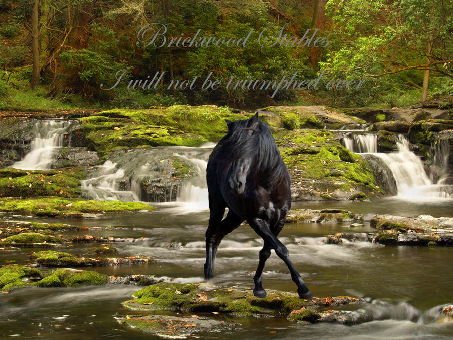 Fierce yet Elegant by 14658 on DeviantArt