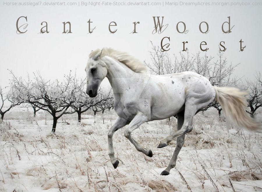 CanterWoodCrest