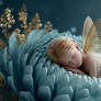 Sleep Tight! #DailyChallenge