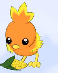 Torchic