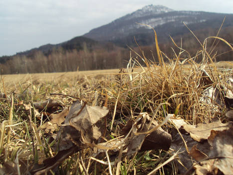 Nature + CZECH Ralsko