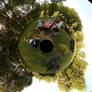 In a stereographic park -scrap
