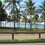 Palm Lined Beach - Noumea 7