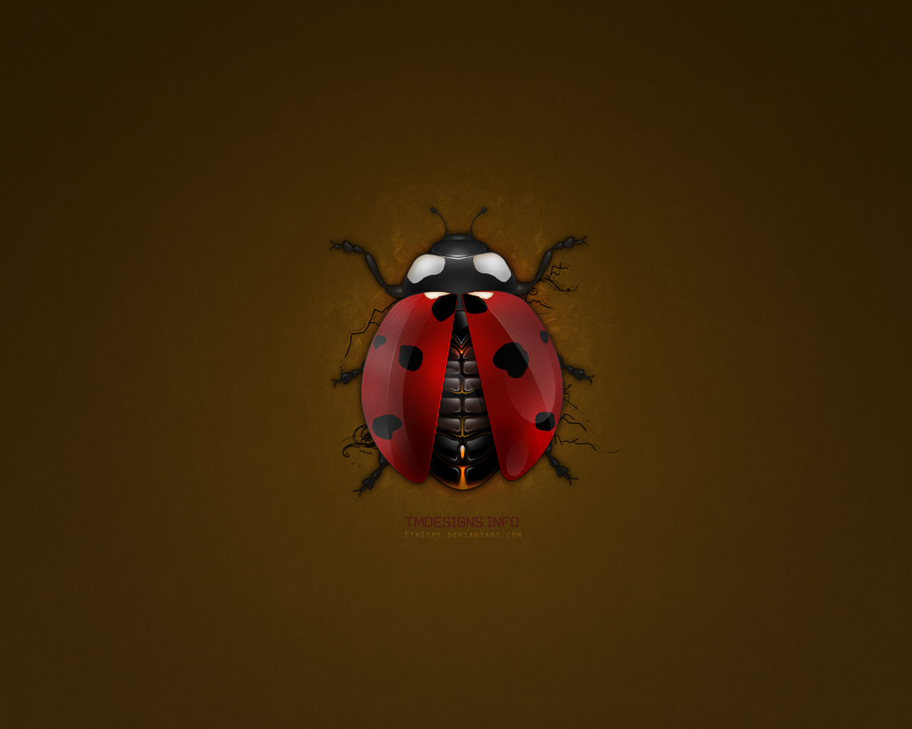 ladybird