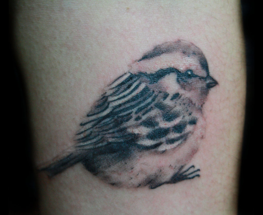 Little Sparrow