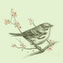 Cuban songbird tattoo design