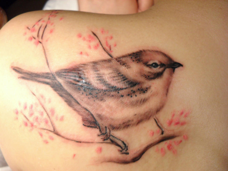 Cuban Songbird Tattoo By Mctats On Deviantart Cuban Songbird Tattoo By Mctats On Deviantart