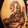 Scorpion Tattoo