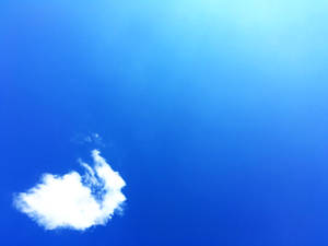 Summer Sky