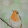 Watercolor Robin #1
