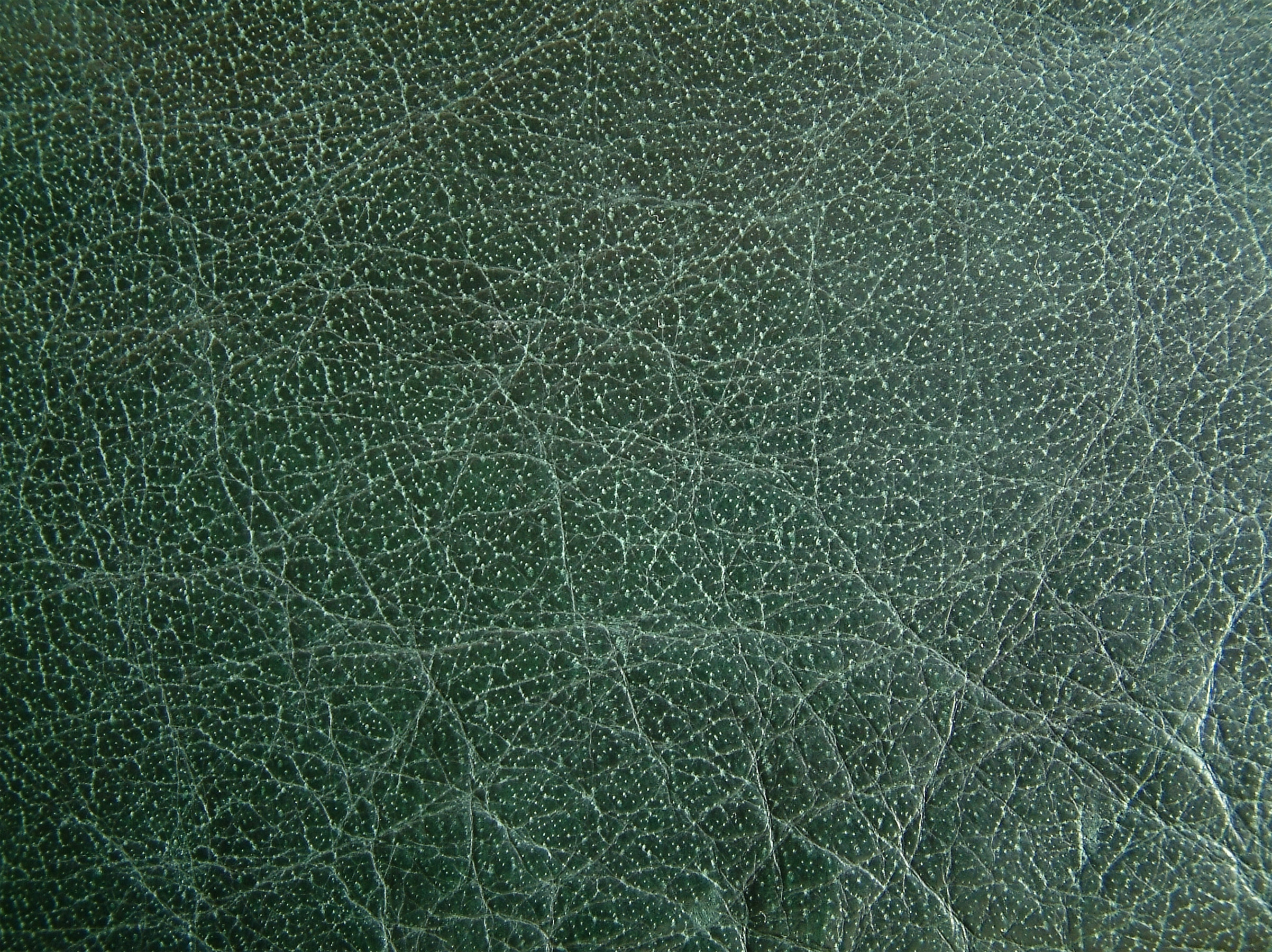 requiemstock - leather texture