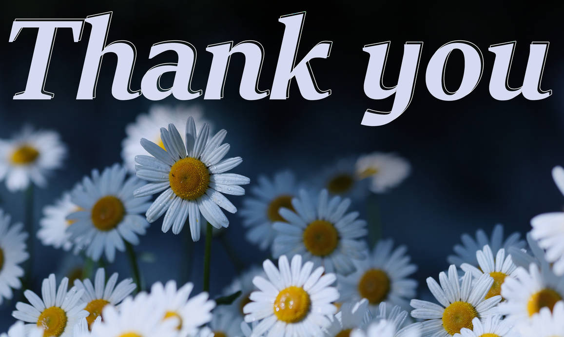 Thank you. Daisies