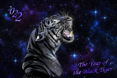 2022 The Year of the Black Tiger