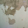 Chipping Paint 1