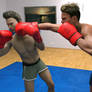 Callan vs Ian Boxing 8