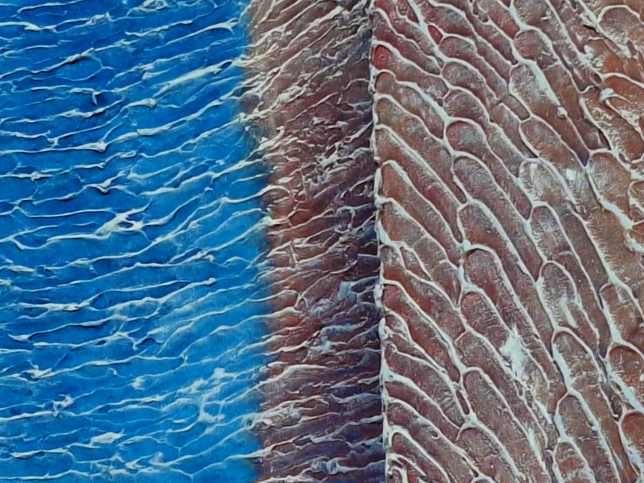 HANDMADE Mural in Relief Multidimensionally