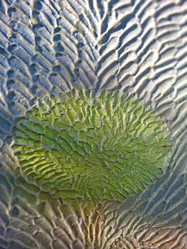 Murals in Relief Multidimensionally Made By DAPACU