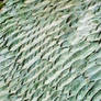 ZOOM of Multidimensional Relief Sidewalk