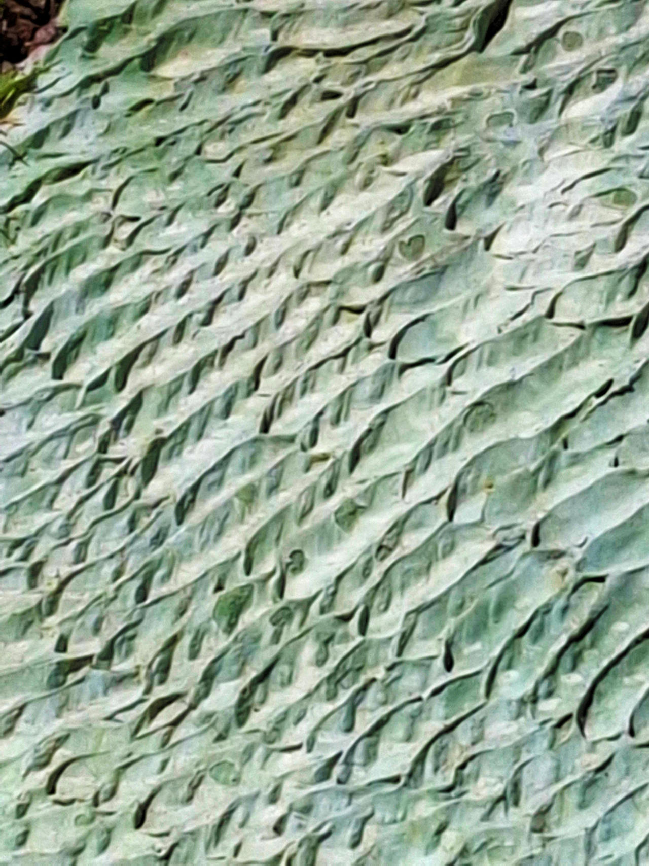 ZOOM of Multidimensional Relief Sidewalk