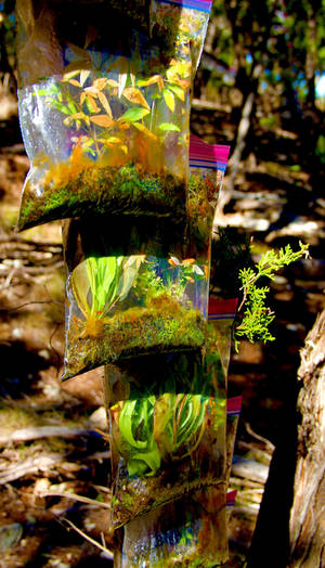 Multidimensional.me World.Pm Made.st DeviantArt.UK