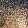 Relief Resin in Lady.St DeviantArt.UK Corner.St of Eco.St Shade.St Water.St Videos.St Oil.St