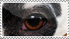 Dalmatian Stamp