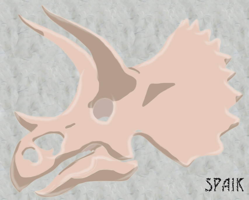 triceratops skull