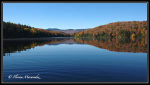 Fall