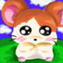 Hamtaro