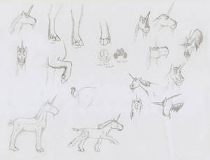 Unicorn character sketches