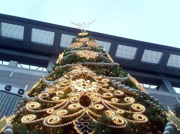 Fat Mary Tree Fat tree by 7oneders on DeviantArt