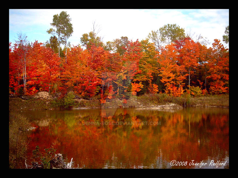 Autumn 2008 Reflections I