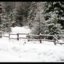 Winter Fence Scene