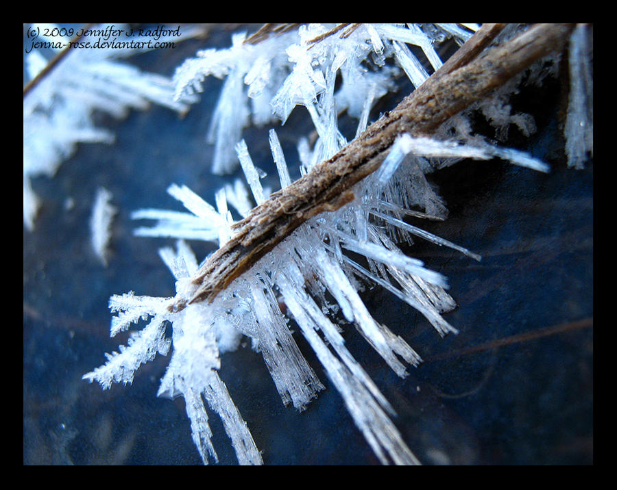 Frost Fingers