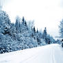 Blue Winter Stock Background I