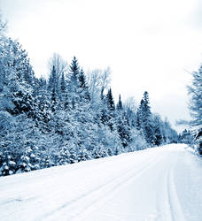 Blue Winter Stock Background I