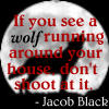 Jacob Black Icon II