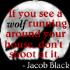 Jacob Black Icon II by MaDeLioncourt