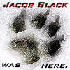 Jacob Black Icon IV