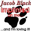 Jacob Black Icon V