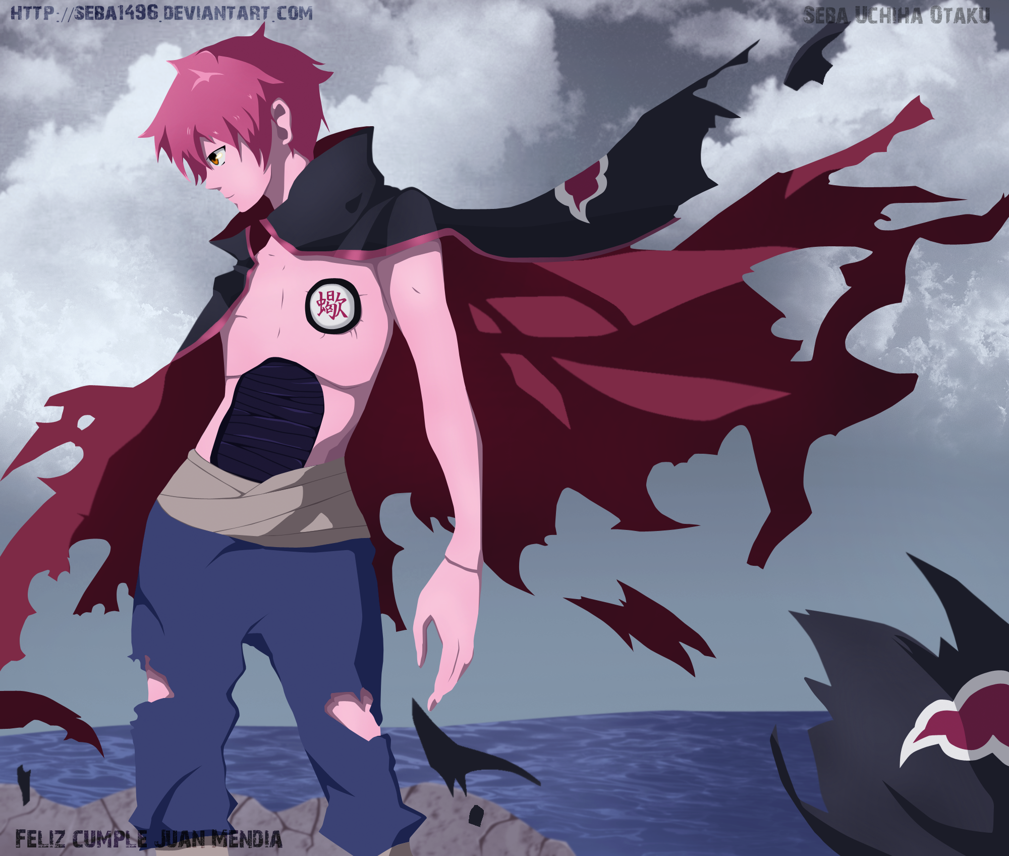 Sasori SUO