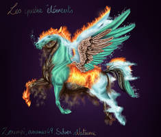 Four elements in one pegasus