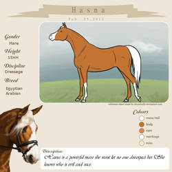 HASNA reference Sheet
