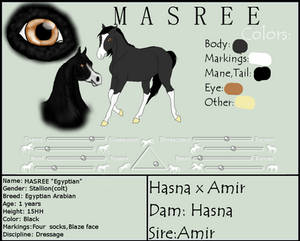 MASREE