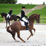 Dressage Stock 007