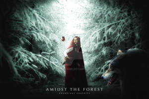 AMIDST THE FOREST | mine