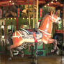 Memphis Zoo, Sept 2021 - Carousel Przewalski Horse