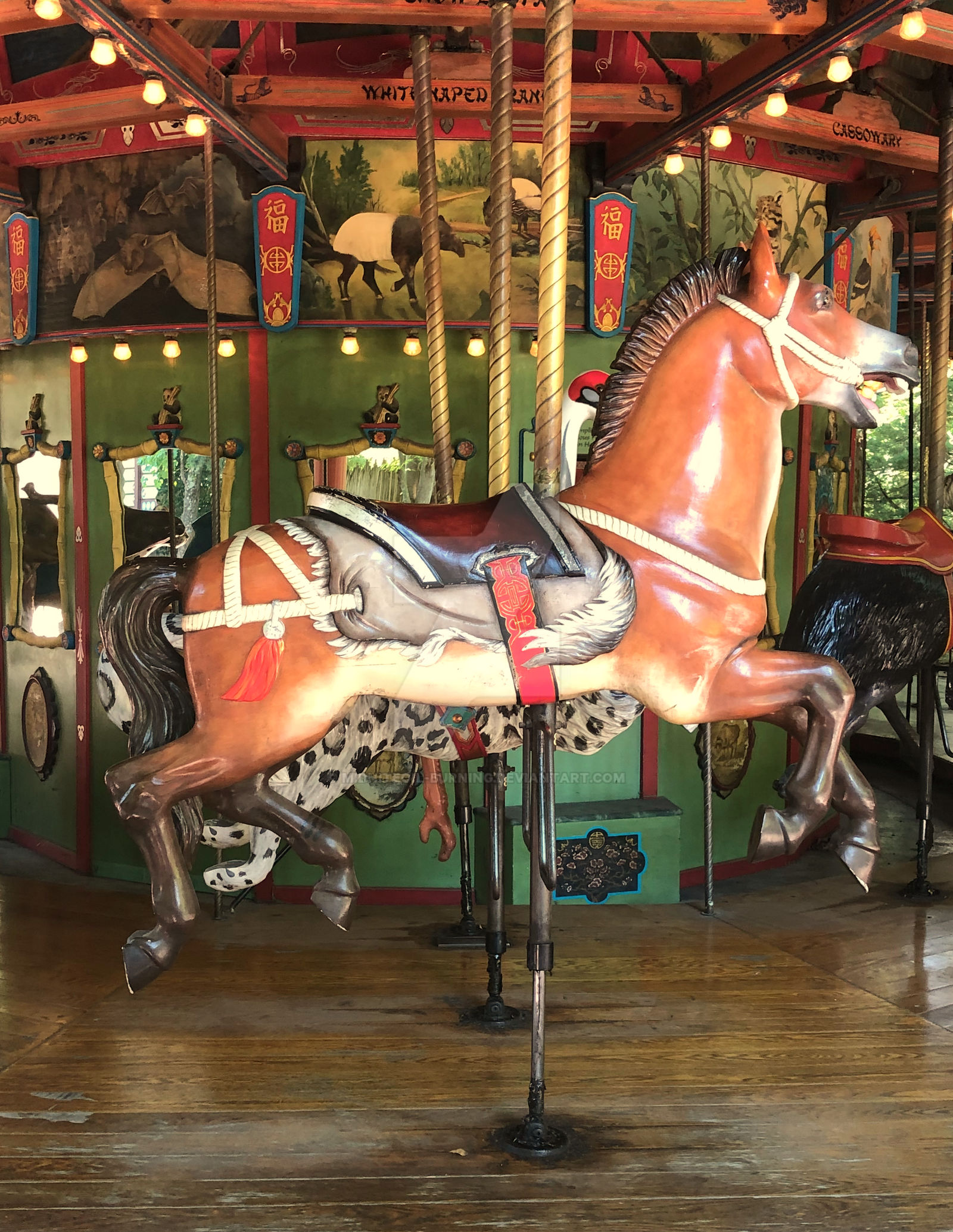 Memphis Zoo, Sept 2021 Carousel Przewalski Horse by Midniteoil